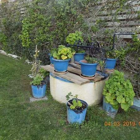 Tatil Evi Sykia Seafront Maisonette Near And Mountain Sykia (Corinthia)